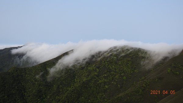 0405陽明山再見雲瀑，今年以來最滿意的一次1335439