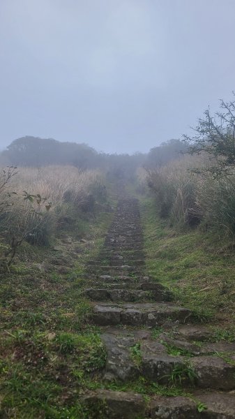 2026-0116 大屯三山_貴子坑_北投2984856