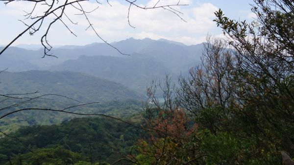 打鐵寮古道-石厝坑山-白石山306071