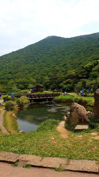 大屯山連峰步道（大屯主，南，西峰連走）926851