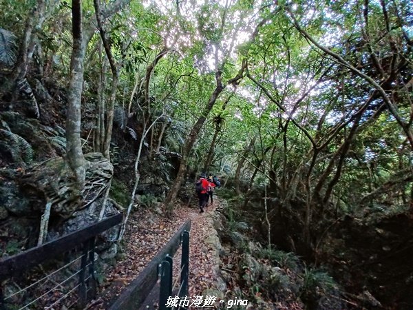 【花蓮秀林】一群人走可以激勵士氣。 小百岳集起來。 編號87小百岳~立霧山步道1877790