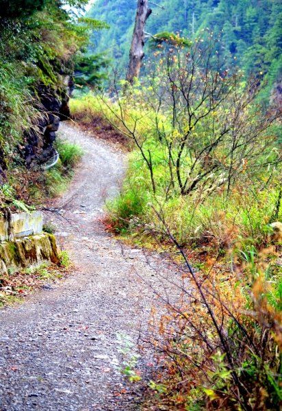 山風15度C吹拂 ~ 合歡溪 步道1551810