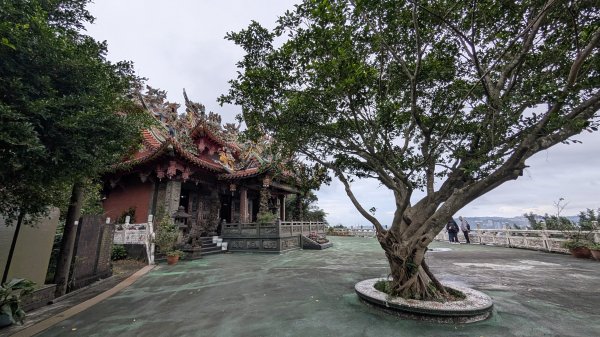 114.12.20劉銘傳隧道-獅球嶺北峰-獅球嶺東砲台山-獅球嶺池-獅球嶺砲台山之旅2966701