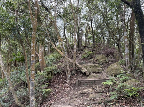 [微笑山線_第四段] 2026_0321 天上山系_石門內尖山3022050