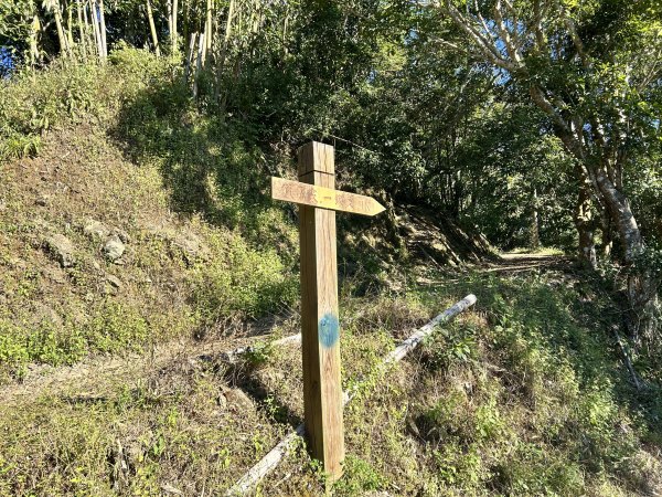 竹子尖山、梅嶺2943148