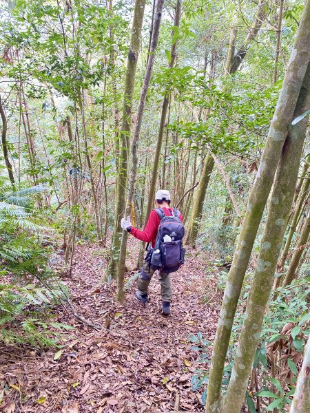 日月潭附近登頂城山、潭南山    2024.3.132452538