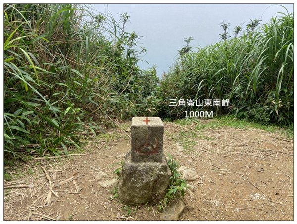 聖母峰、三角崙山 (抹茶山) 連走2802237