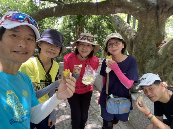 《夏日大坑同行記｜10號步道登稜線，與家人感受山風與人情味》2926357