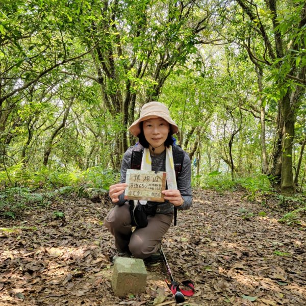 20230404愛上土徑山路 (頂湖山-中正山-大屯西峰-面天坪-清天宮)2096212