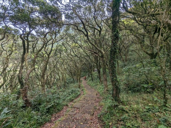 「走遍陽明山尋寶任務」三條路線串聯巡禮2105531