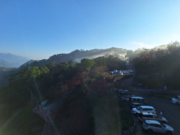 八角崠山+協雲宮櫻花步道202502152712865