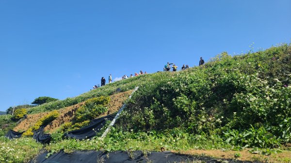 2025-0130溪和宮-大崎頭步道-鵝尾山-平溪步道-鵝尾山水田-42巷-溪山百年古圳-平菁步道2701912