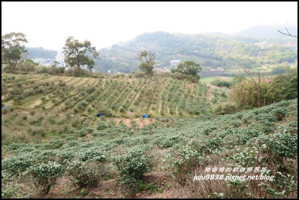 秀才登山步道233409