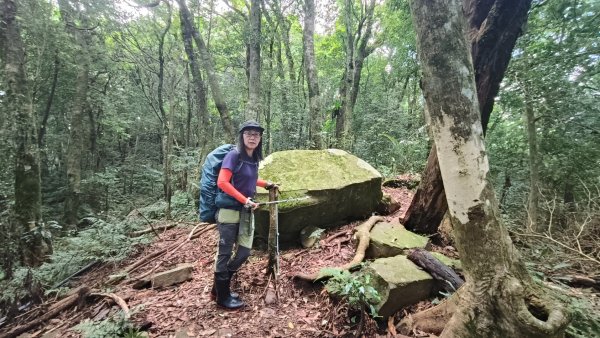 大混李棟重訓2883604