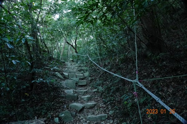 屏東 獅子鄉 里龍山(里隆山、里瀧山、鯉龍山)、下里龍山2018519