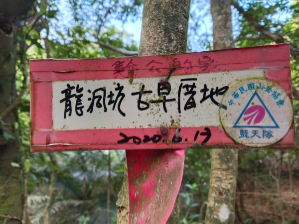 貢寮區龍洞坑古道+苦苓嶺+南雅山+海園古道O型2954593