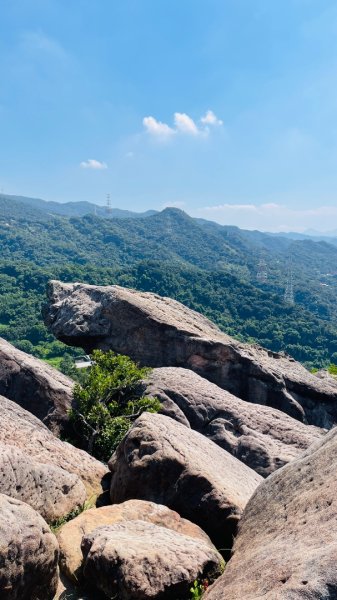 金面山親山步道2867845
