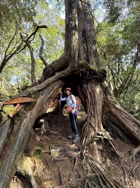 塔曼山 連走 拉拉山森林遊樂區 O繞 202510112923681