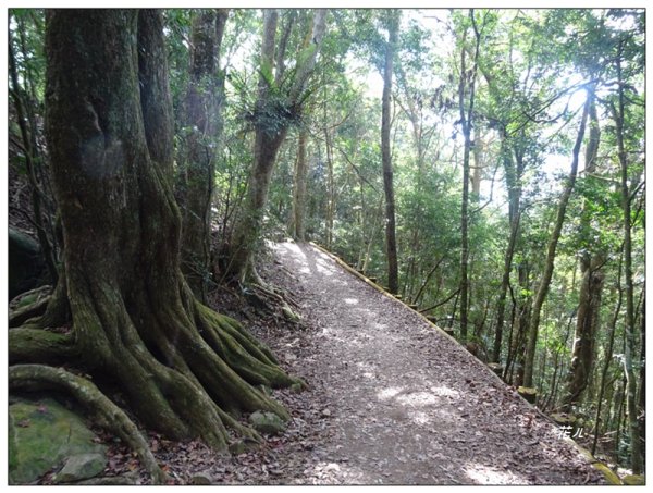 馬那邦山(小百岳)/上湖登山口2427056