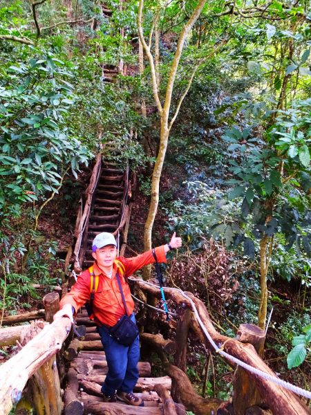 萬里長城般的木棧道【台中大坑】頭嵙山212910