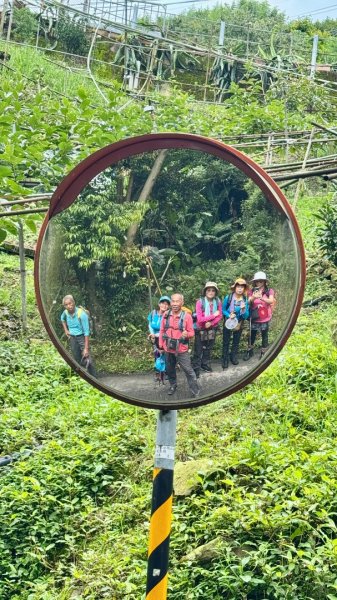 大雪山林道橫流溪 出雲山 分桂林山2843787