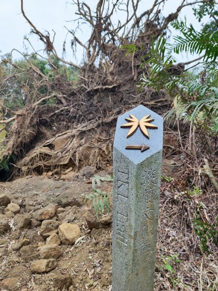 淡蘭南路2+1逆走2671855