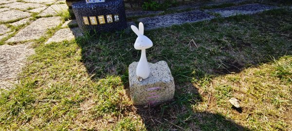 通霄神社+虎頭山公園-2025/11/152939315