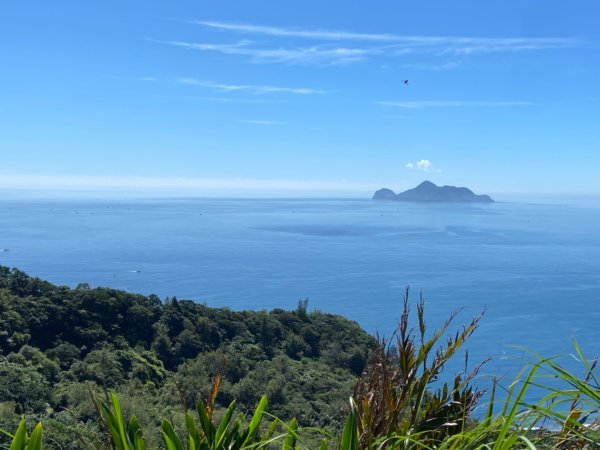 新北：草嶺古道2746971