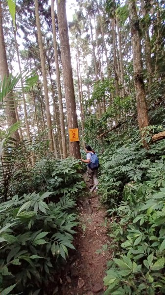 【苗栗南庄】向天湖山光天高山小O繞2933177