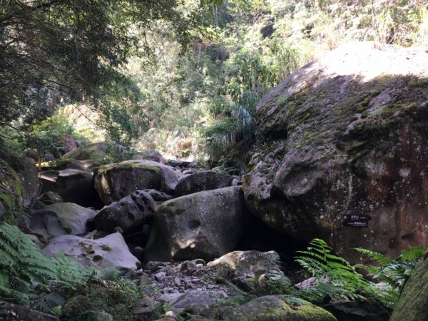 加里山登山步道之旅719239