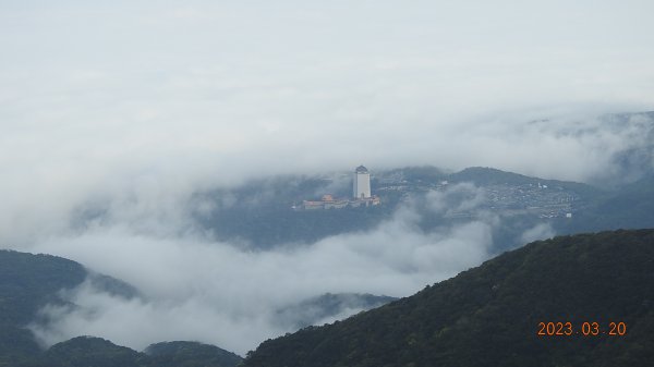 陽明山再見雲海，天空之城 ? 水淹金山寺 ? 3/202079969