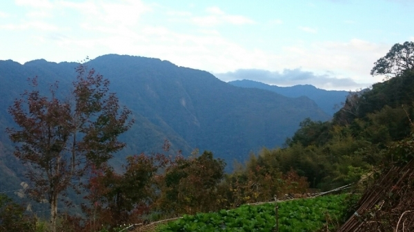 20151213尖石鄉屯野台山石麻達山27971