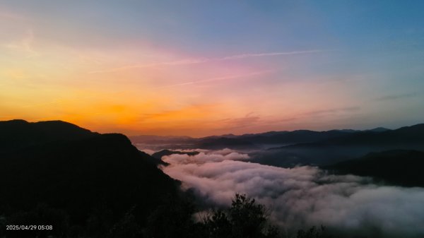 翡翠水庫壩頂 #火燒雲雲海 #日出雲海 #鱷魚島 #藍腹鷴 4/292772669