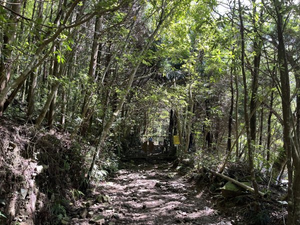 [山頂鳥40周年會員大縱走-06/15] 2024_0707 長壽山(肥崠山)山徑2546472