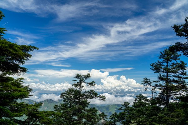 五個人雪山西稜撞到羊1016785