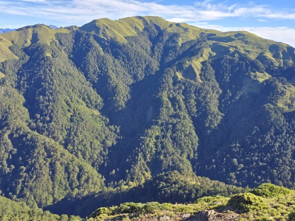 20250824 石門山+石門山北峰+哈哈山+哈哈山南峰2919451