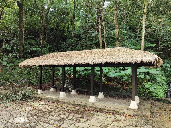 臺北大縱走第七段：世界山莊至飛龍步道政大後山2811691