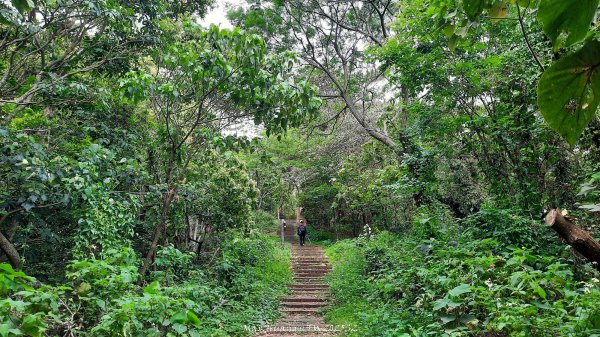 《彰化》古意人文｜員林18觀音O繞大峰巷挑水古道202504122759461
