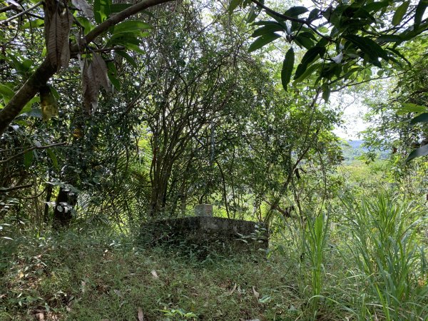 20251115台南牛埔山2938109