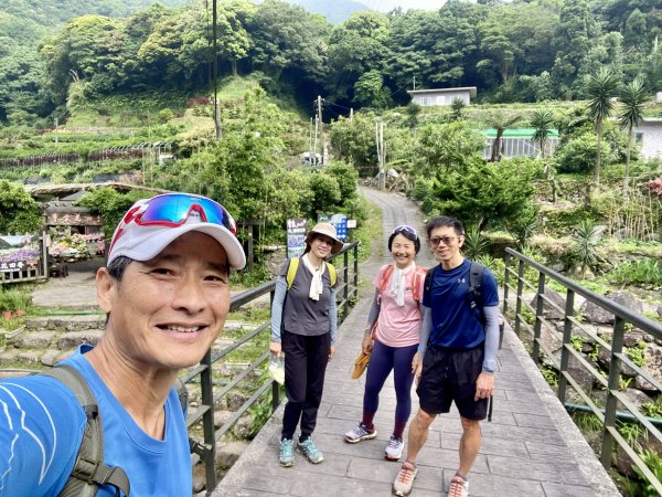 《陽明山的山林片刻｜沿著青春嶺路走向山野的綠意》2939245