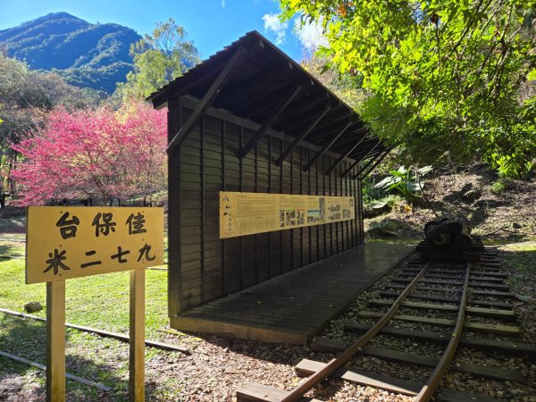 八仙山森林遊樂區、佳保台山2712651