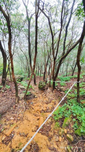 劍龍稜初體驗2431325