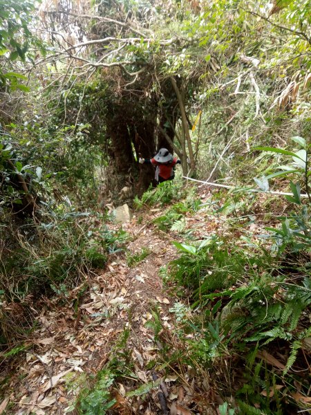 小百岳暗影山(高巢森活上)1909910