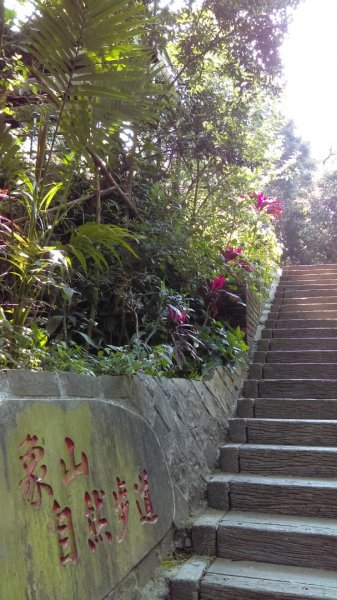 【臺北大縱走 6】象山拇指山南港山九五峰918394