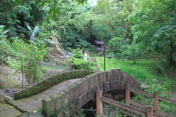 後花園最美的步道[草嶺古道]38332