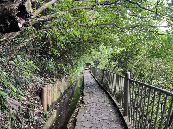 2024_1020 貴子坑親山步道2634261