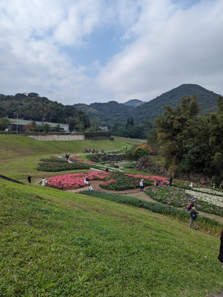 剪刀石山連走大崙頭山2396052