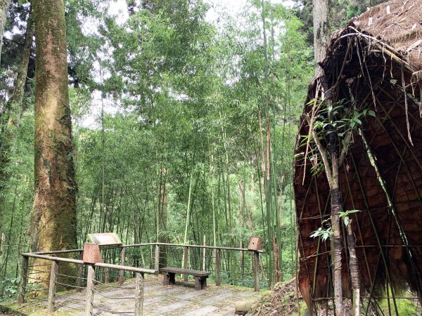 納涼去～頂湖上大凍山 20190622621388