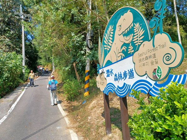 【南投魚池】澀水森林步道2933033