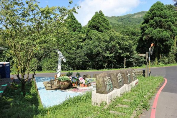 陽明山  菜公坑山 反經石   水車寮步道。林木蓊鬱  豐富的蕨類植披，絕佳避暑古道2173998